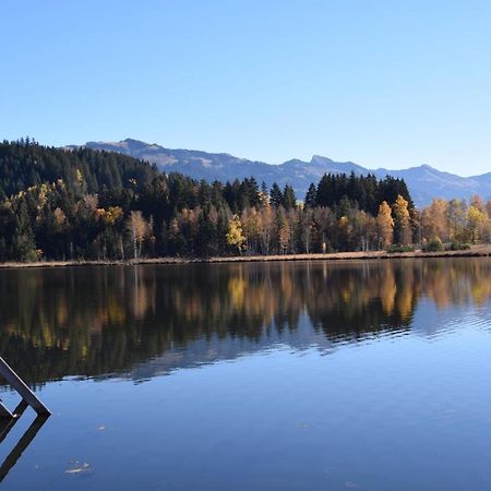 Haus Brugglbach Appartement Kirchberg in Tirol Buitenkant foto