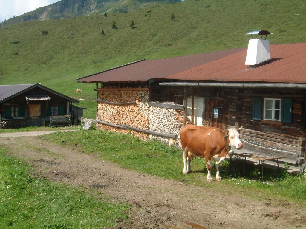 Haus Brugglbach Appartement Kirchberg in Tirol Buitenkant foto