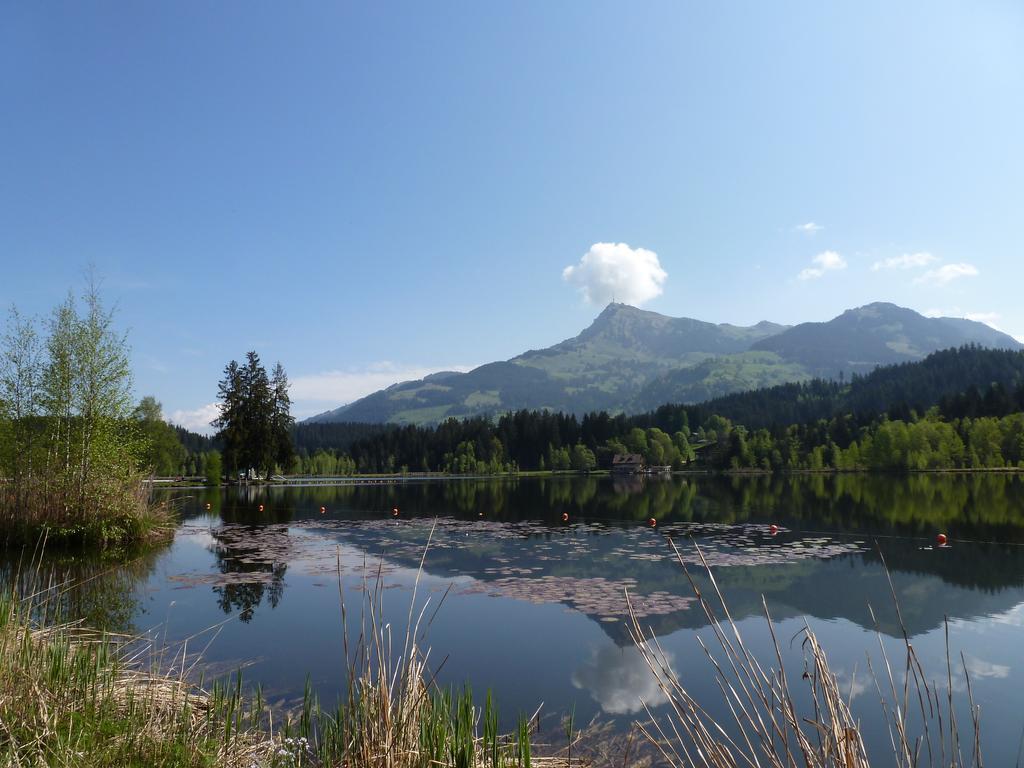 Haus Brugglbach Appartement Kirchberg in Tirol Buitenkant foto